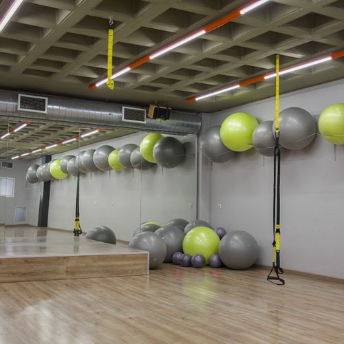 fitball1